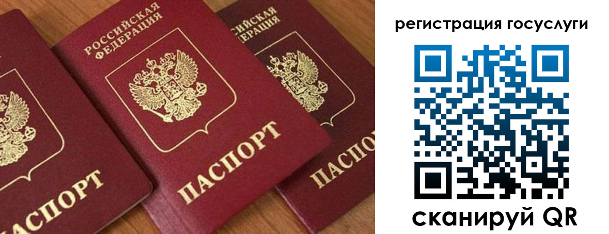 временная регистрация гарантия в Торопеце
